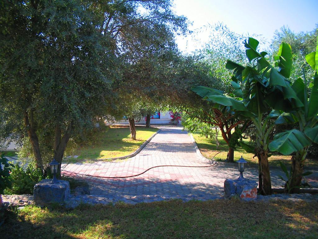 Bare Hill Holiday Village Elea Dış mekan fotoğraf