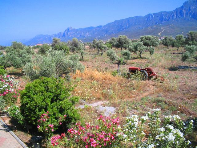 Bare Hill Holiday Village Elea Dış mekan fotoğraf